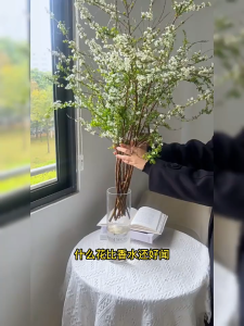 Snowy Willow Branches (Fresh) - Water soaked Flowering Dry Branches Hydroponic Plants