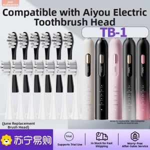 June Early Soft Bristle Electric Toothbrush Replacement Head for Gentle Gum Care Suitable for Apyoo TB-1 Universal Design