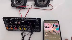 AC/DC D10 OK HIFI BASS POWER AMP 12V/24V/220V Digital Bluetooth Hifi Stereo Amplifier Board Subwoofer