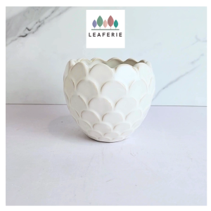 The Leaferie Nalya plant pots Ceramic flowerpot flowerpots flower pot planter planters