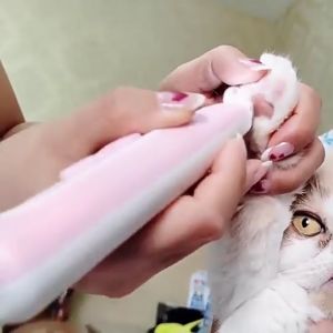 ตัดขนอูงเท้า ปัตตาเลี่ยนตัด สวิตช์ปูม’เดี้ยว ชาร์จ USB/แบบไทย