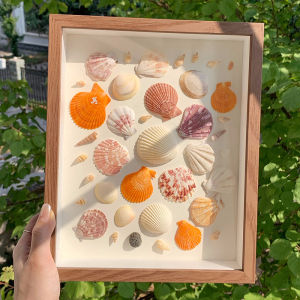 Khung Ảnh Vỏ Sò Biển DIY Khung Lưu Niệm Thủ Công Khung Ảnh Vuông Rỗng Đơn Giản Trang Trí Nhà Đồ Trang Trí Gia Đình