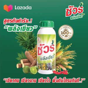 ชัวร์ พลังเขียว สูตรต้นตำรับ เขียวทนเขียวนาน เฉียดปุ๊บเขียวปั๊บ.! เพิ่มผลผลิต ฟื้นต้นโทรมในทันที ด้วยวัคซีนพืชและอะมิโนพืชเกรดนำเข้า