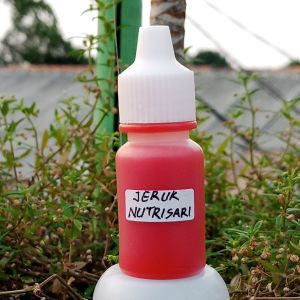 ESEN JERUK NUTRISARI OPLOSAN SIAP PAKAI GALATAMA GALAPUNG