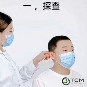 耳穴贴砭石/王不留行籽600粒装/探穴笔 Wang Buliuxing Seed Ear Acupoint Patch/pen