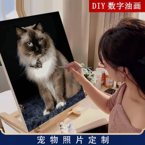 Digital Oil Painting DIY Pet Cat Dog Photo Hand-drawn Coloring Gift Stress Relief Decorative Painting New Chinese Style Home Decor