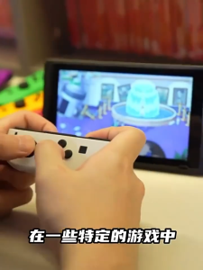 Switch Console Compatible Controller