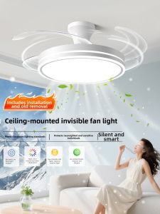 DGY | Minimalist Quiet Ceiling Fan Light