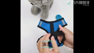 Dog leash with harness dog leash and collar leash for dog puppy leash for puppy leash and collar