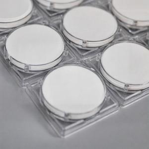 PAMPAS | Hydrophilic Acid-Base Resistant PTFE Membrane Graphene For Lab Analysis and Purification