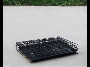 Dog cage with Poop Tray Heavy Duty Pet Cages cat cage Foldable Small Medium cages