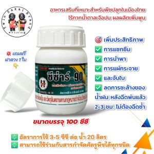 [2 แถม 1] ตราเงาะคู่ โตนิโต้ เร่งหัว เร่งห่อ เร่งราก เร่งเหง้า เร่งหัวมันสำปะหลัง