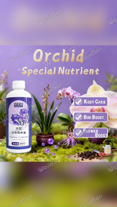 🌼Khusus orkid ozi mall Orchid fertilizer Baja orkid Orchid Ia tidak akan layu selepas digunakan. Orchid fertilizer flowering 兰花