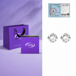 cco | Simple Round Zircon Earrings S925 Silver