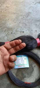 012 jaring burung hitam 1¾" - 100/100 yds bonus 1 ikat benang  senar hitam