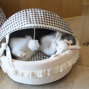 Adorable Semi-Enclosed Cat Bed - Warm Colour Cradle - Lambwool Fabric - 60cm x 47cm x 40cm - Lightweight & Cozy