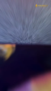 Paramesti Kaos Garuda Indonesia