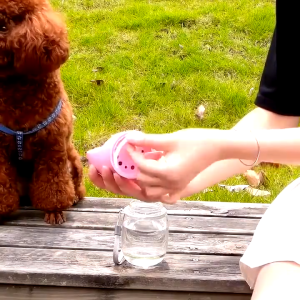 Puppy Water Bottle Walking Hiking Drinking Bowl For Dogs Cat Feeder Outdoor Water Dispenser Botol Air Anjing 宠物便携水瓶