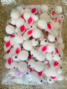 Set 50 thỏ bông thỏ ngọc trắng làm đèn lồng trung thu