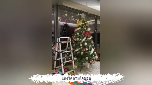 (จัดส่งจากไทย)🎄คุณภาพสูง ต้นคริสต์มาส ขนาดใหญ่⭐ ต้นคริสต์มาส ตกแต่งต้นคริสต์มาส ขนาด 60/90/120/150/180 ซม. ตกแต่งบ้าน ต้นไม้