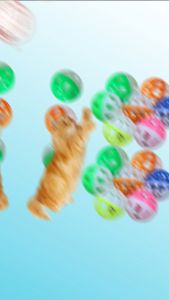 Bola Kerincing Mainan Kucing