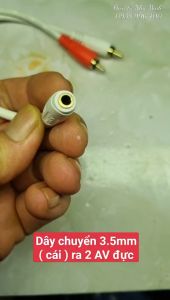 Dây chuyển tín hiệu 2 AV ĐỰC  ra 3ly cái Streo 30cm