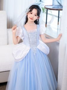 Cinderella Themed Premium Gown Dress