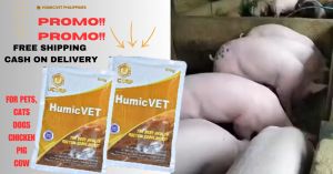 NE HumicVet - Organic Supplements for Animals Vitamins for Pigs 100 Grams Authentic from UCorp