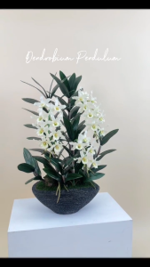 Akara Dokmaii กล้วยไม้หวาย กระถางกล้วยไม้ประดิษฐ์ ตกแต่งบ้าน