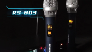 RAYHAYES Wireless Microphone UHF Rechargeable Dual Microphone for Karaoke Performance