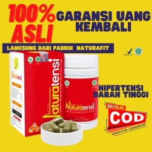 Obat Herbal Menstabilkan tekanan Darah Tinggi Secara Cepat NaturaTensi