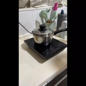 TELMART Induction Compatible Stainless Steel Saucepan with Bakelite Handle and Heat-Resistant Lid