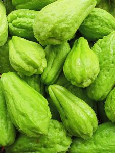 ฟักแม้ว มะระหวาน ชาโยเต้ 1 กิโล