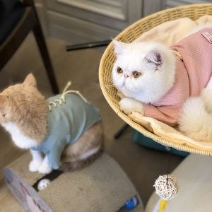 YCQPET | Fur-Preventing Adorable Pet Cat Clothing