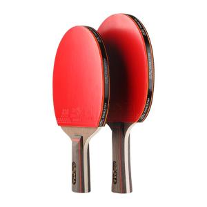 Double Fish | Professional High Elasticity Carbon Ping Pong Paddle