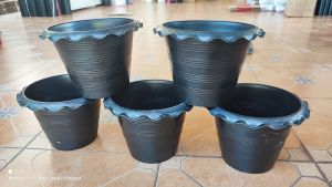 กระถางบัว 10 นิ้ว แพ็คละ 5 ใบ สินค้าพร้อมส่งครับ