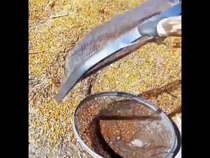 Leaking Soil Shovel Steel Agricultural Filter Screen Sieve Soil Shovel Agricultural Filter Peanut Sieve Soil Shovel (Mesh 4mm)