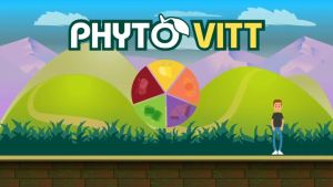 (ส่งฟรี)Phyto Vitt ไฟเบอร์เน้นๆแน่นๆ กิฟฟารีน ไฟโต วิต สารสกัดจากผลและผลไม้ 60 เม็ด Fiber Giffarine