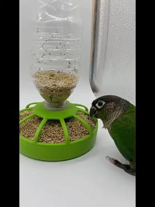 Rennas Bird Feeder & Water Bowl Chicken Feeder Poultry Automatic Acrylic Bird Accessories Pet Bowl