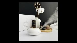 Nebulizer Diffuser Free 10ml Essential Oil Mini Portable Waterless Rechargeable Aroma Diffuser Aromatherapy fragrance for home gift