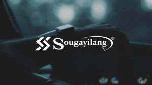 Sougayilang Joran Pancing Tongkat Pancing Berputar/Casting Fishing Rod Carbon Fiber Ultralight Berat 1.65M 1.75M 2/3 Bagian Memancing Tiang Perjalanan Rod Fishing Tackle