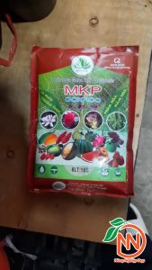 Phân Kích Hoa MKP 0-52-34 Gói 1kg - Hàng Isreal Giúp Cây Ra Hoa Đậu Trái