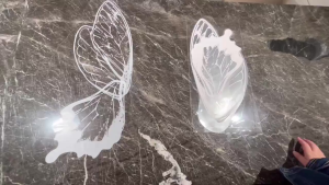 ส่งจากกทม!40แผ่น กระดาษห่อช่อดอกไม้รูปผีเสื้อ 50*56CM สำหรับห่อดอกไม้DIY กระดาษแก้ว