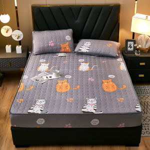 Dễ thương hoạt hình không thấm nước bọc nệm vừa vặn đàn hồi Ga Trải Giường Ga Trải Giường singe Queen Nệm King che bụi