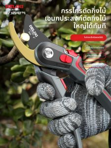 DELIXI Electric | Specialty Garden Pruning Scissors