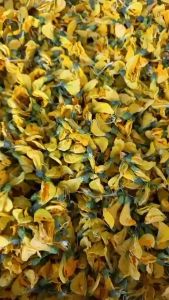 Bông Điên Điển Sấy Khô 100g Chuyên Dùng Nấu Lấu Canh Chua