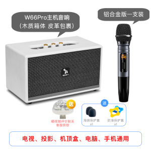 Leji W66pro Family KTV Suit Wireless Microphone Speaker Karaoke Microphone TV Karaoke Home Audio