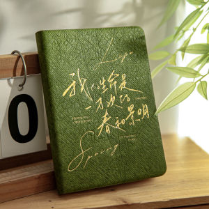 Mr.paper | 2025 Dotted Healing Gold Plated Attractive Diary A6