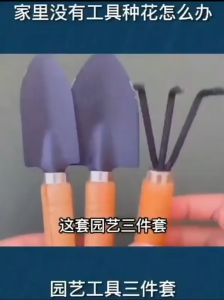 Bộ dụng cụ làm vườn 3 món Thép tĩnh điện cán gỗ