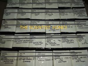madu asli the scientist honey